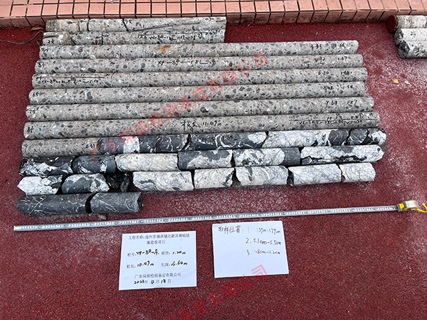 基樁鉆芯試驗(yàn)檢測(cè)芯樣 基樁鉆芯試驗(yàn)檢測(cè)芯樣